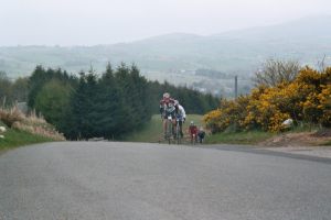 fred_whitton_06_d20