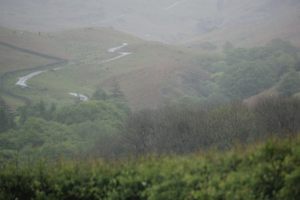 IMG_0613